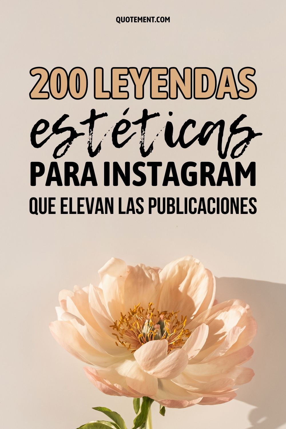 200 leyendas estéticas para Instagram que elevan las publicaciones 