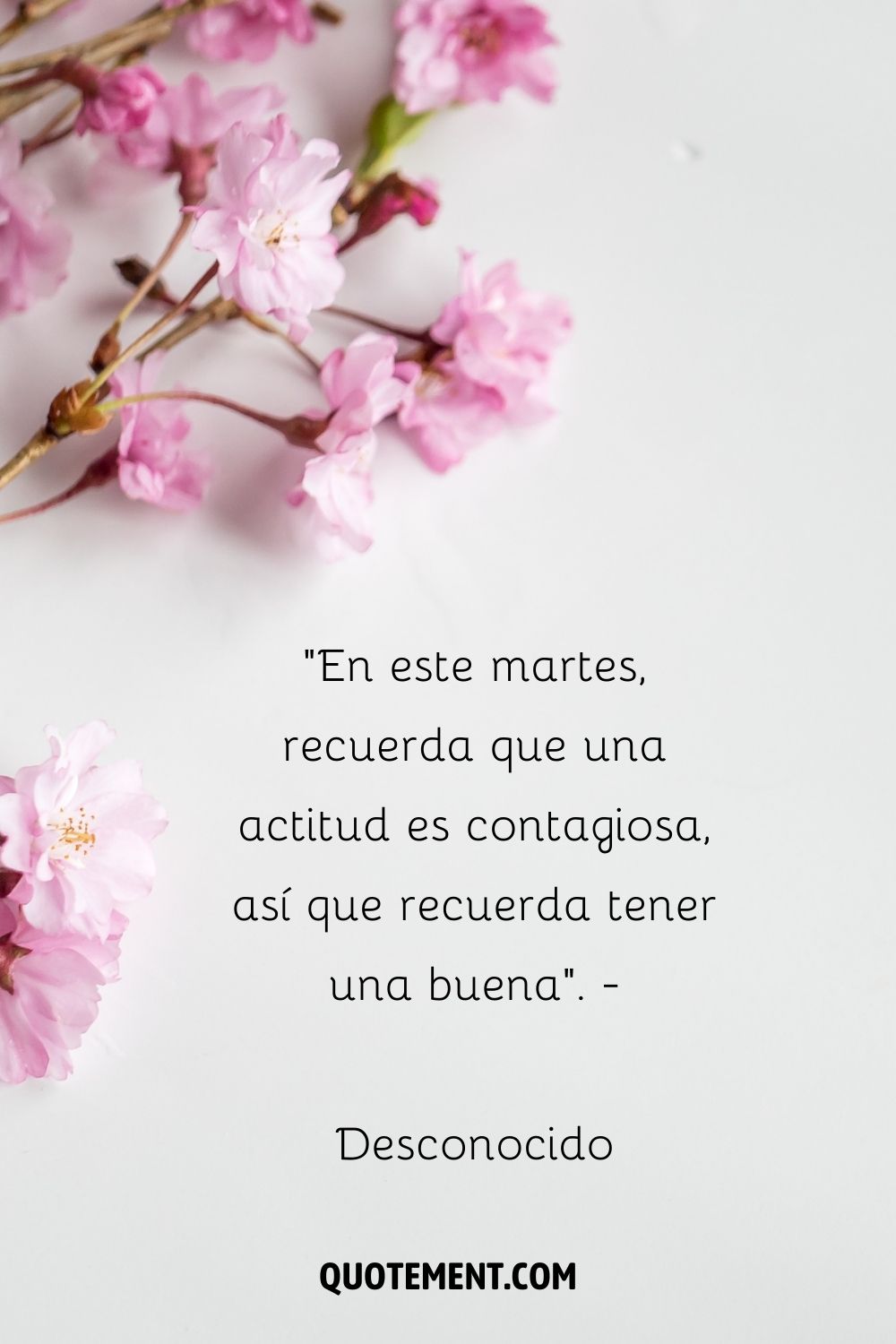 "En este martes, recuerda que una actitud es contagiosa, así que recuerda tener una buena". - Desconocido