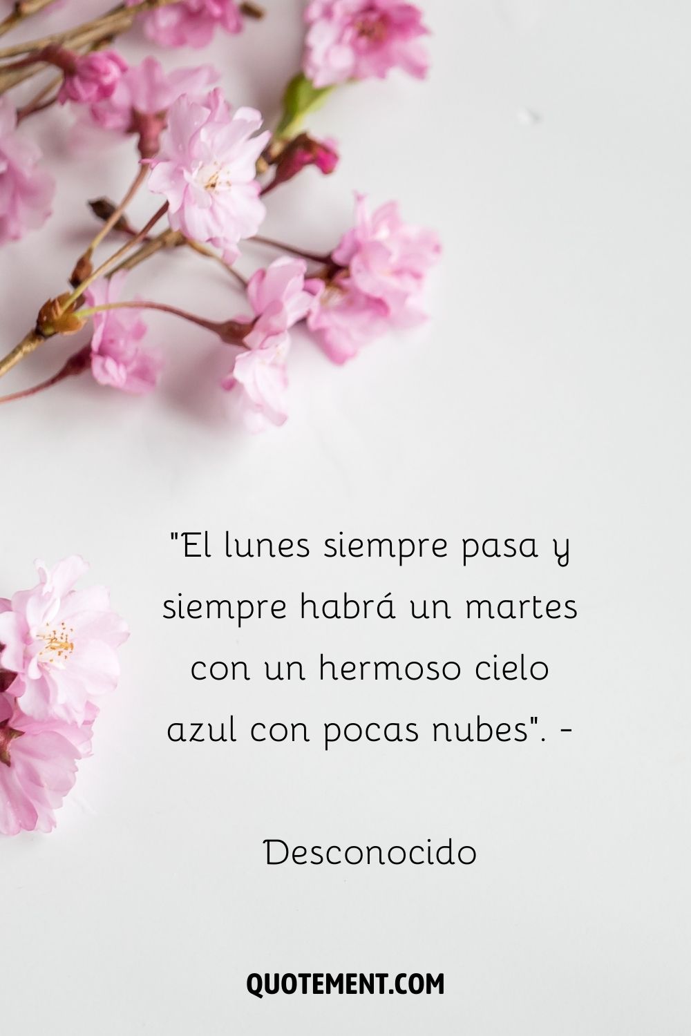 "El lunes siempre pasa y siempre habrá un martes con un hermoso cielo azul con pocas nubes". - Desconocido