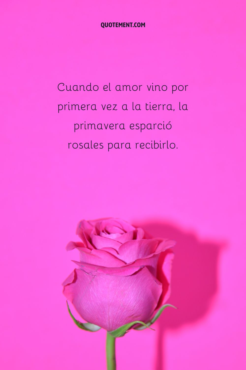Cuando el amor vino por primera vez a la tierra, la primavera esparció rosales para recibirlo.
