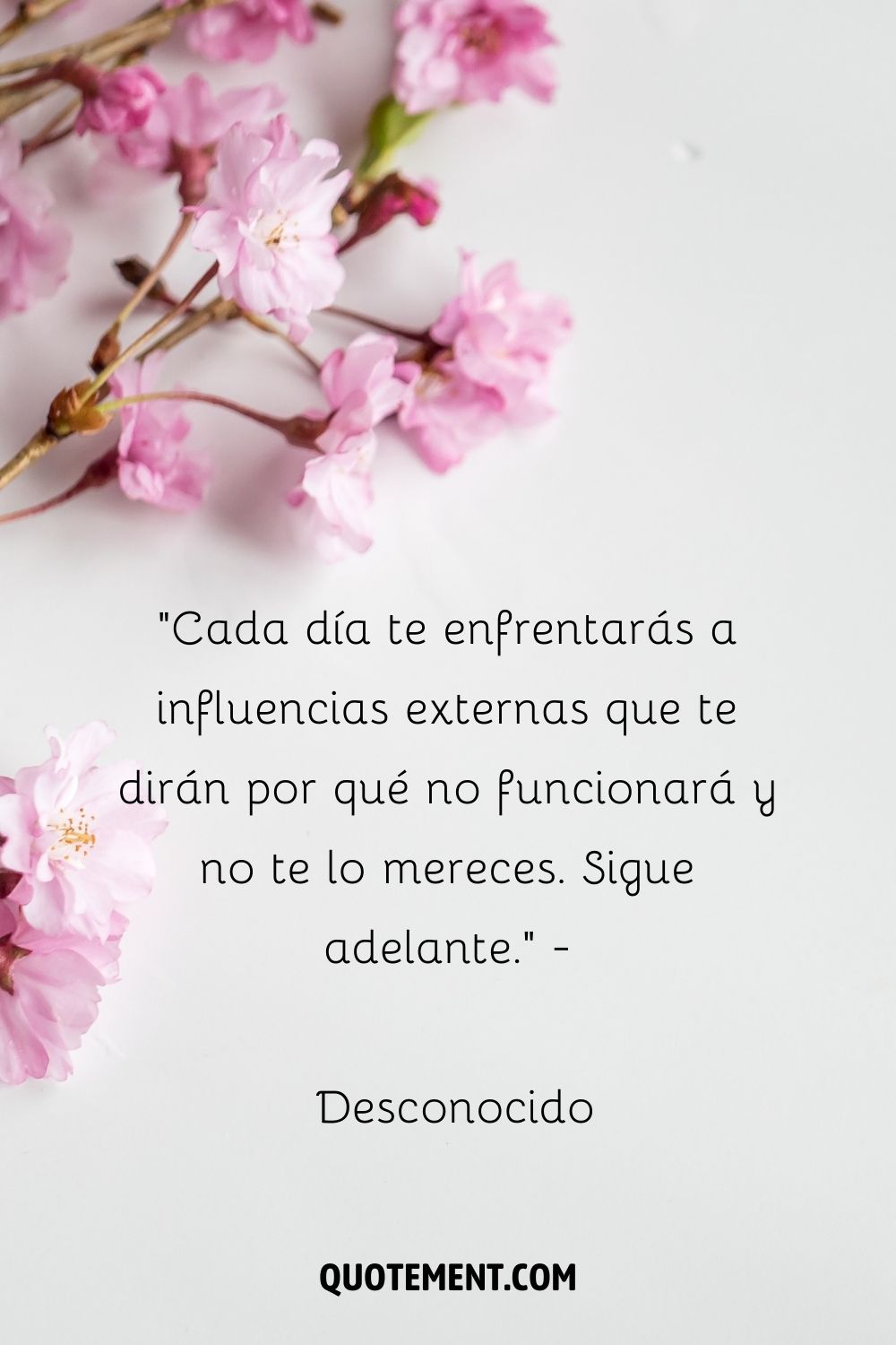 "Cada día te enfrentarás a influencias externas que te dirán por qué no funcionará y no te lo mereces. Sigue adelante". - Desconocido