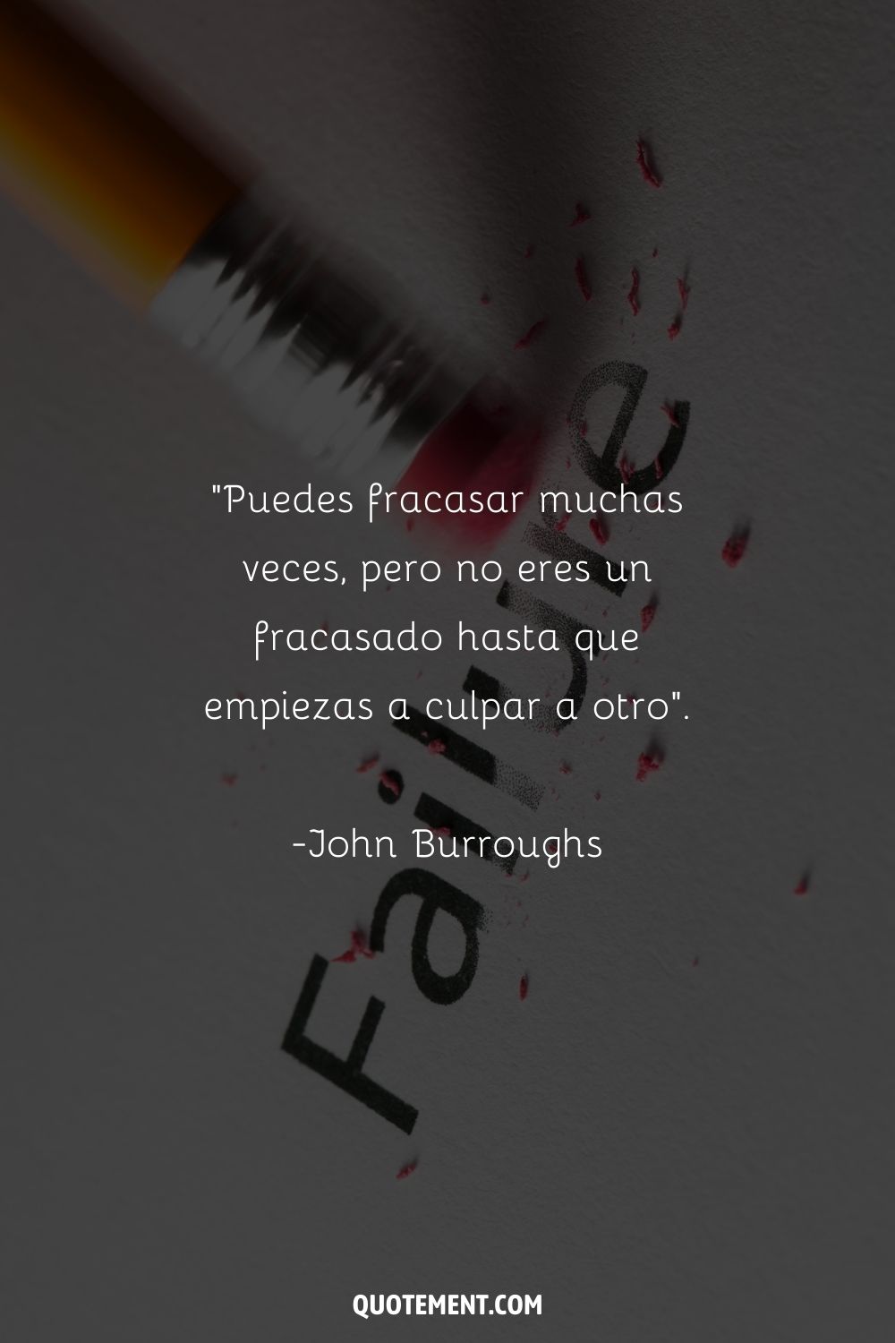 "Puedes fracasar muchas veces, pero no eres un fracasado hasta que empiezas a culpar a otro". - John Burroughs