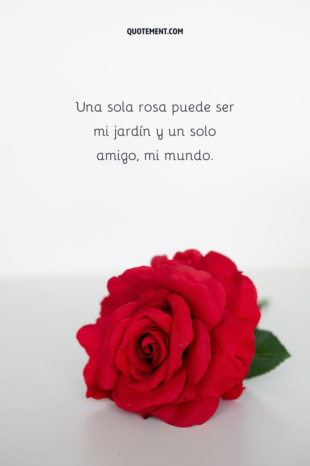 Una sola rosa puede ser mi jardín y un solo amigo, mi mundo.