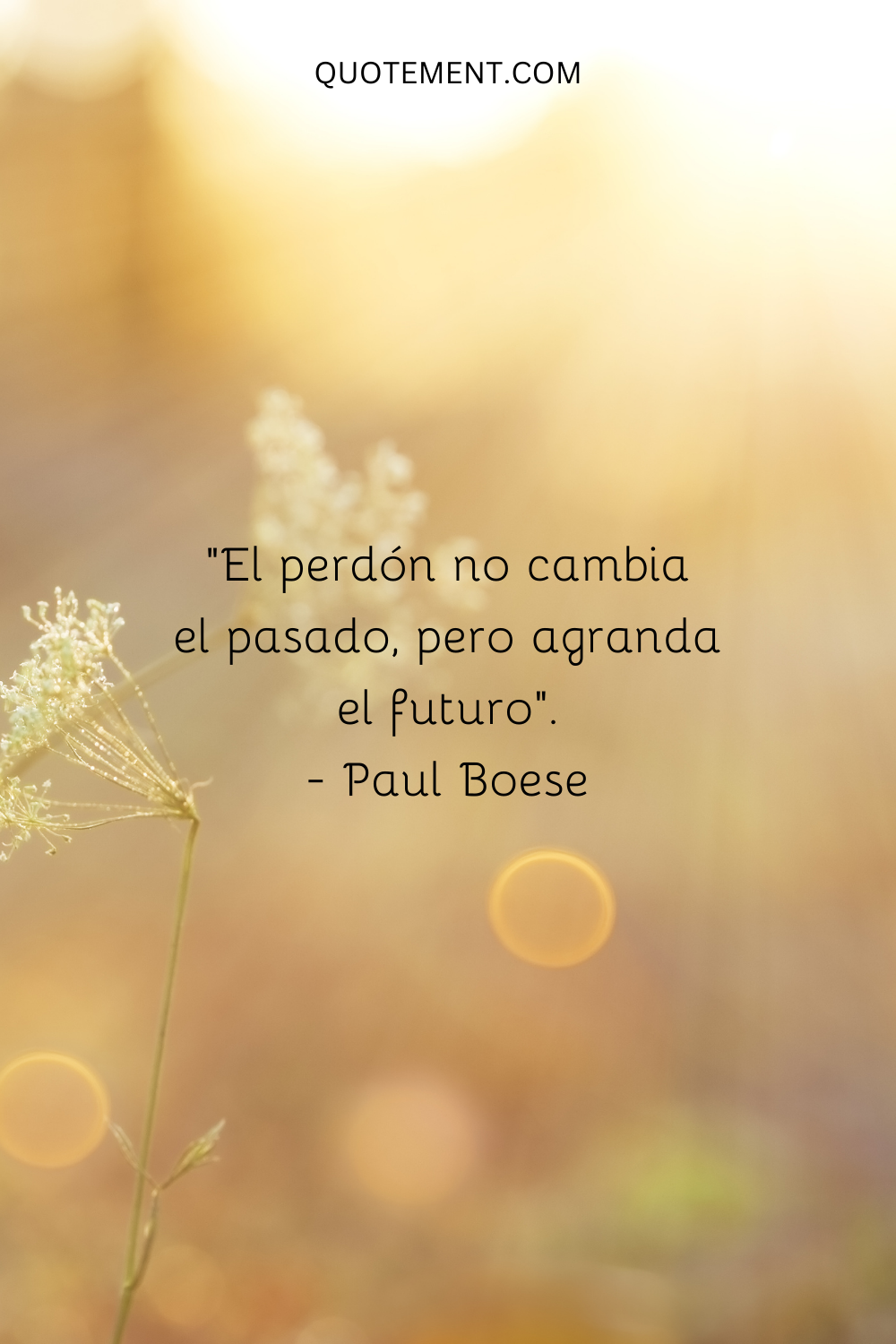 "El perdón no cambia el pasado, pero agranda el futuro". - Paul Boese