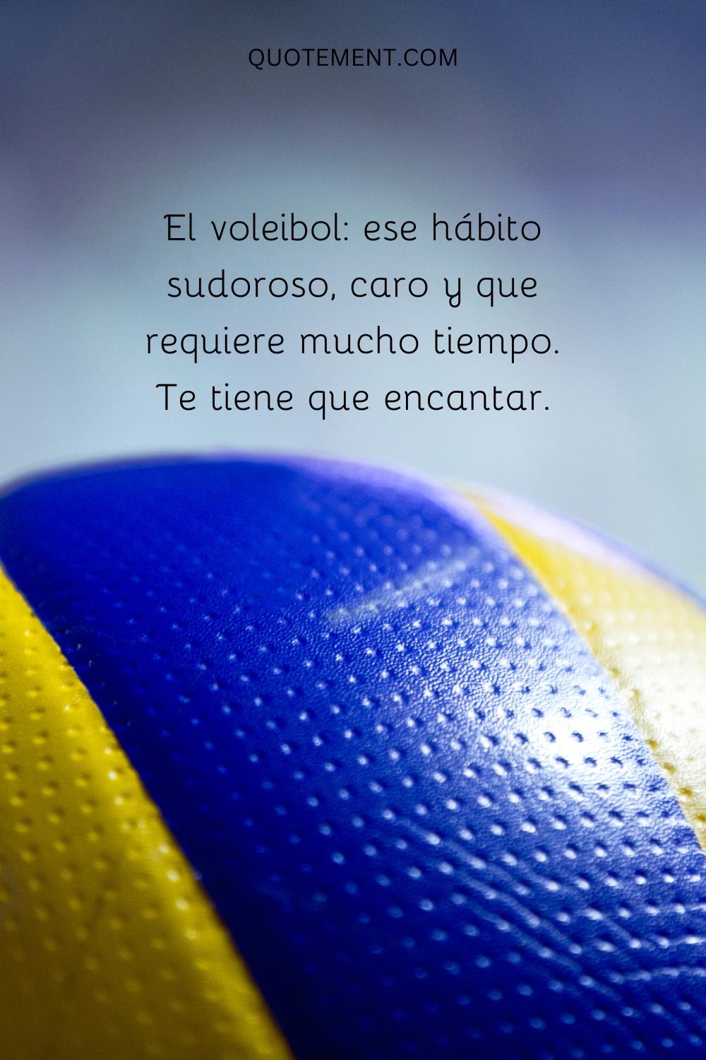 El voleibol ese hábito sudoroso, caro y que consume tiempo. Tienes que amarlo.