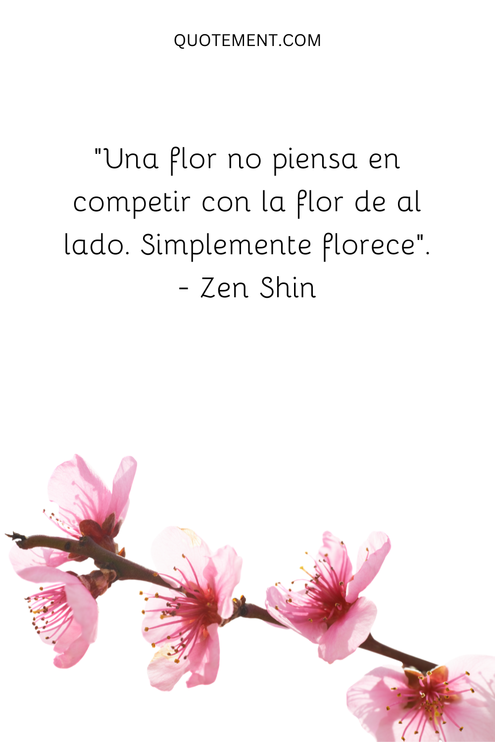 "Una flor no piensa en competir con la flor de al lado. Simplemente florece". - Zen Shin