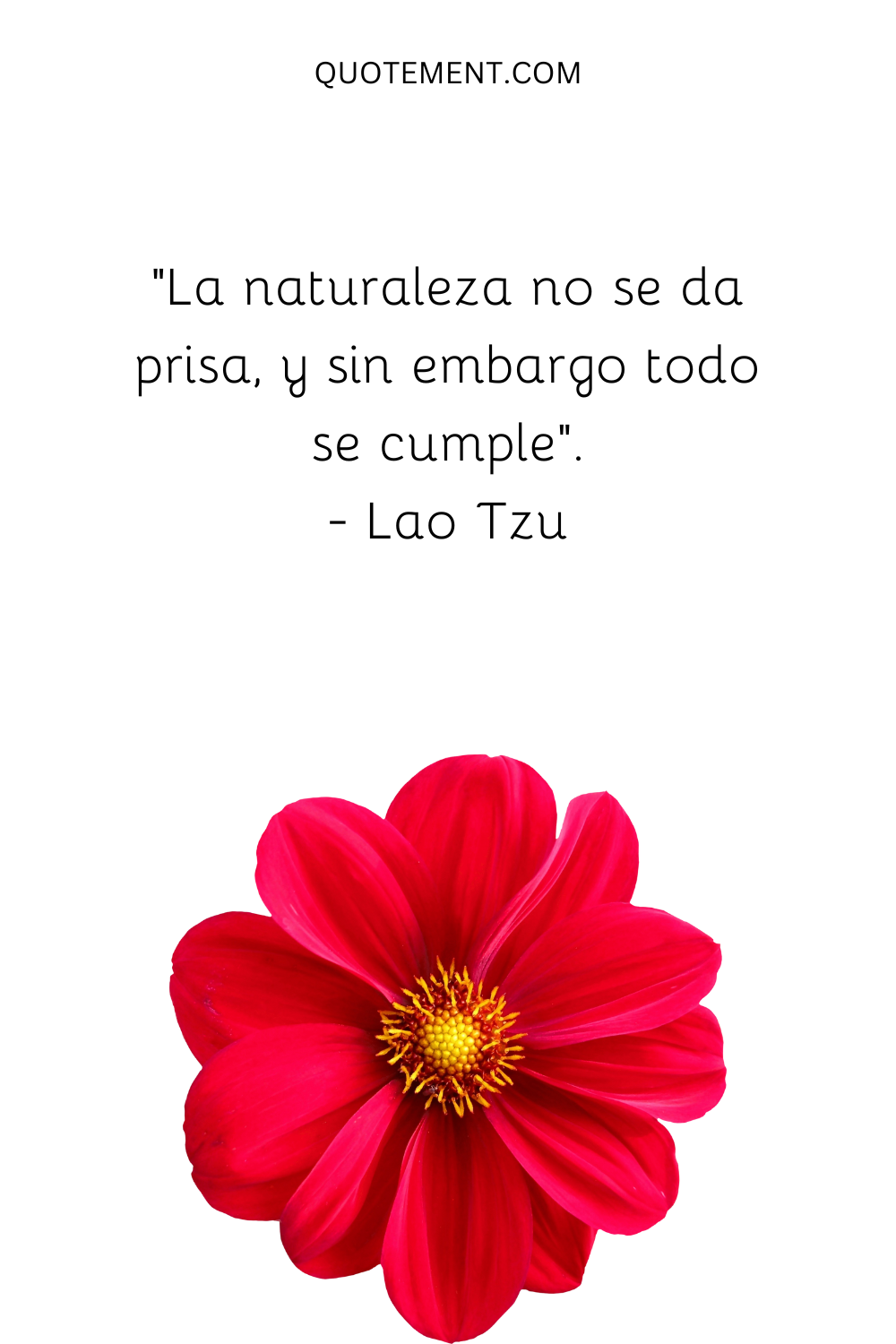 "La naturaleza no se apresura y, sin embargo, todo se cumple". - Lao Tzu