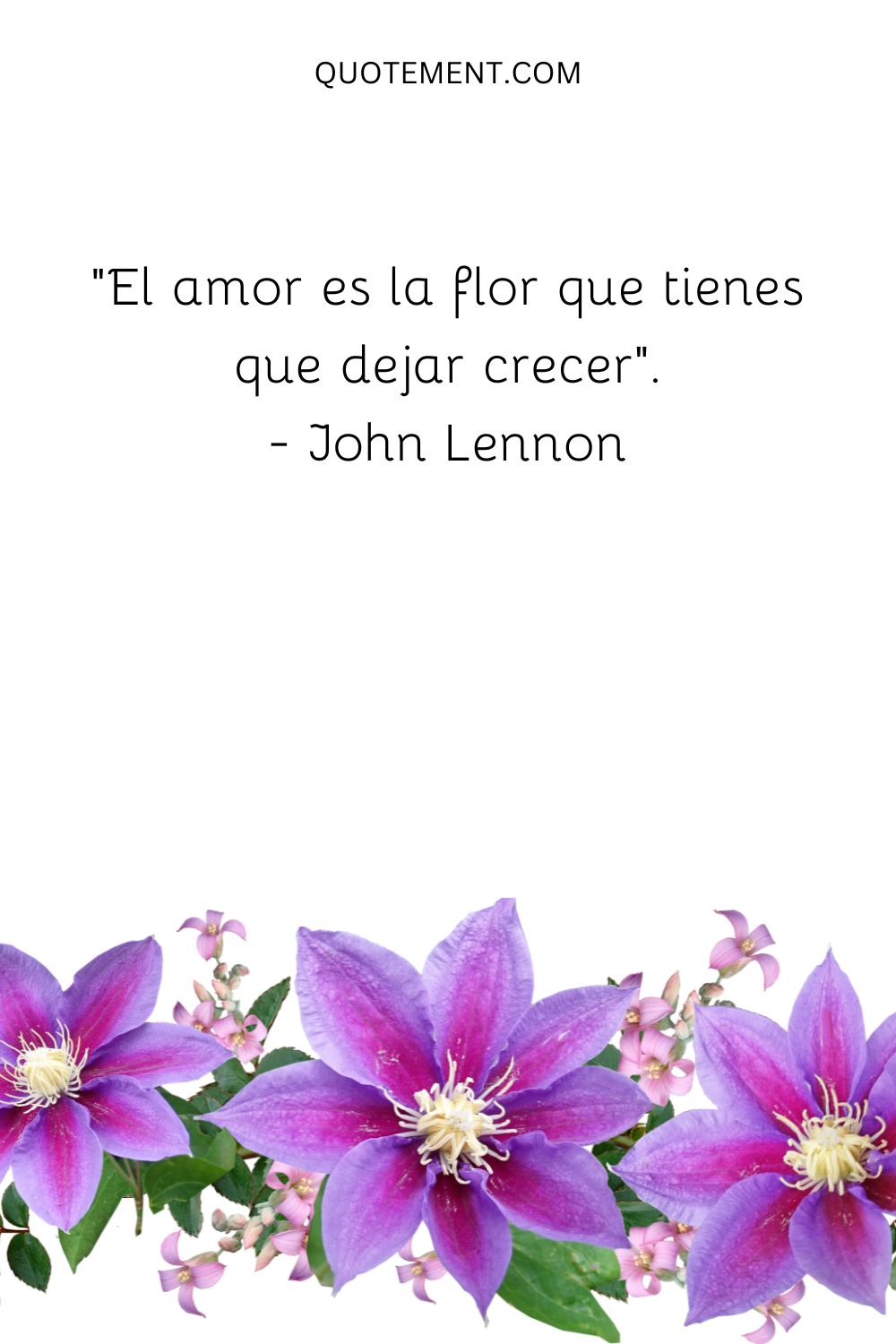 "El amor es la flor que tienes que dejar crecer". - John Lennon