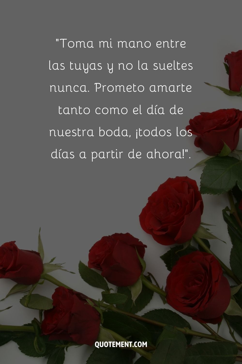 Rosas rojas con fondo desenfocado