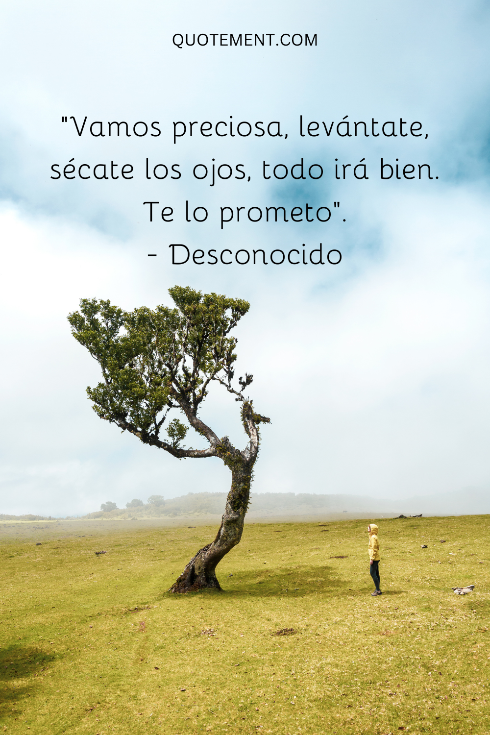 "Vamos preciosa, levántate, sécate los ojos, todo irá bien. Te lo prometo". - Desconocido