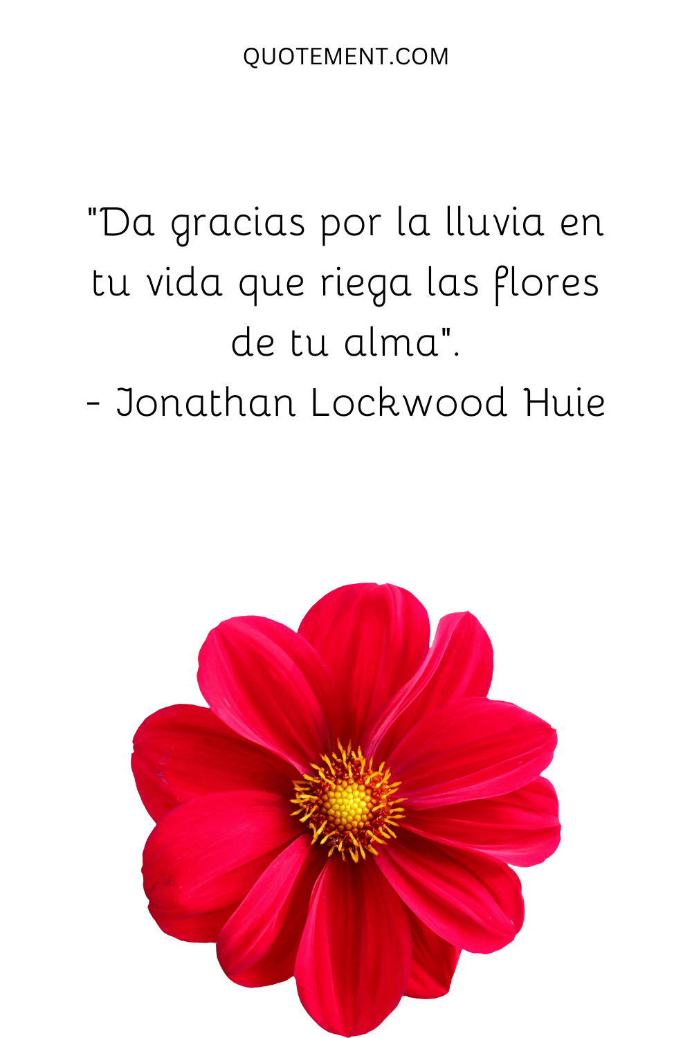 "Da gracias por la lluvia en tu vida que riega las flores de tu alma". - Jonathan Lockwood Huie