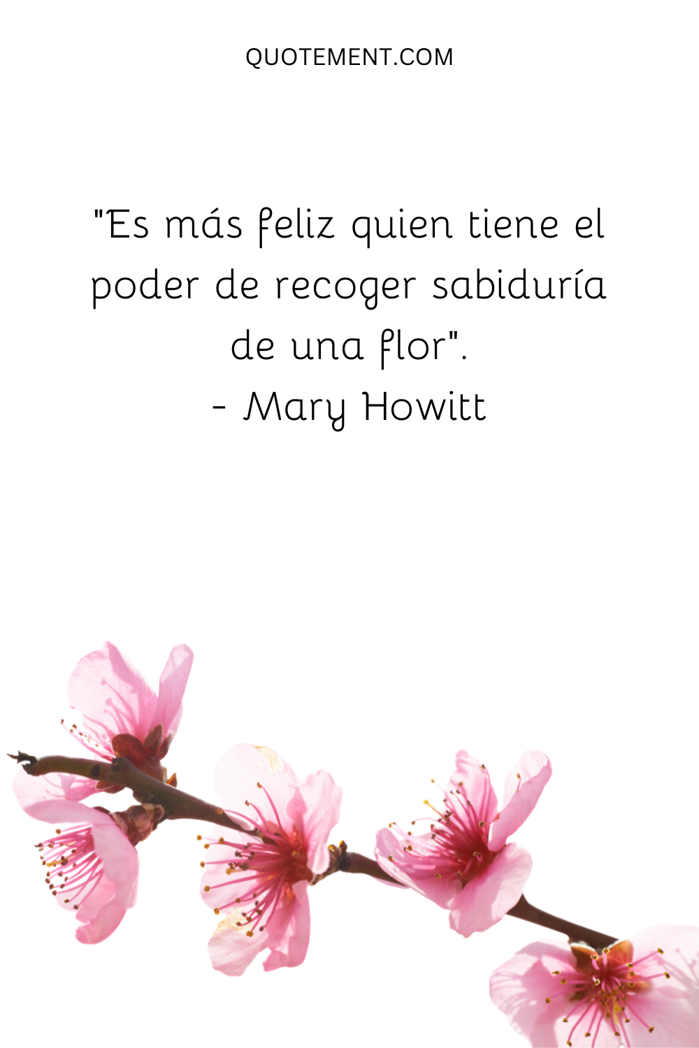 "Es más feliz quien tiene el poder de recoger sabiduría de una flor". - Mary Howitt
