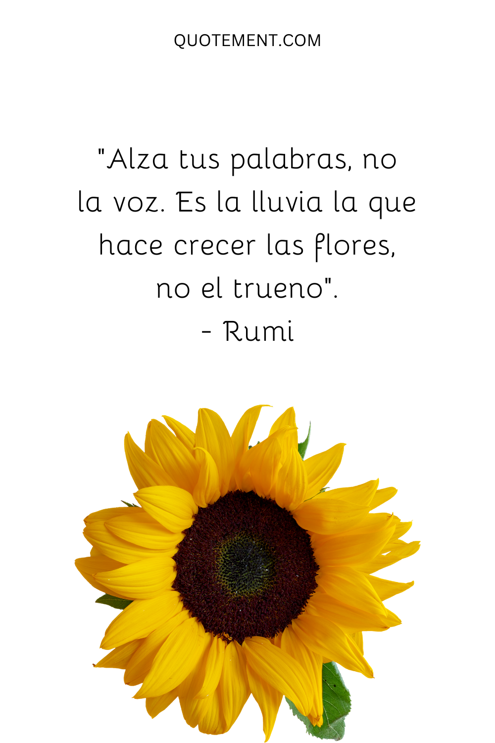 "Alza tus palabras, no la voz. Es la lluvia la que hace crecer las flores, no el trueno". - Rumi