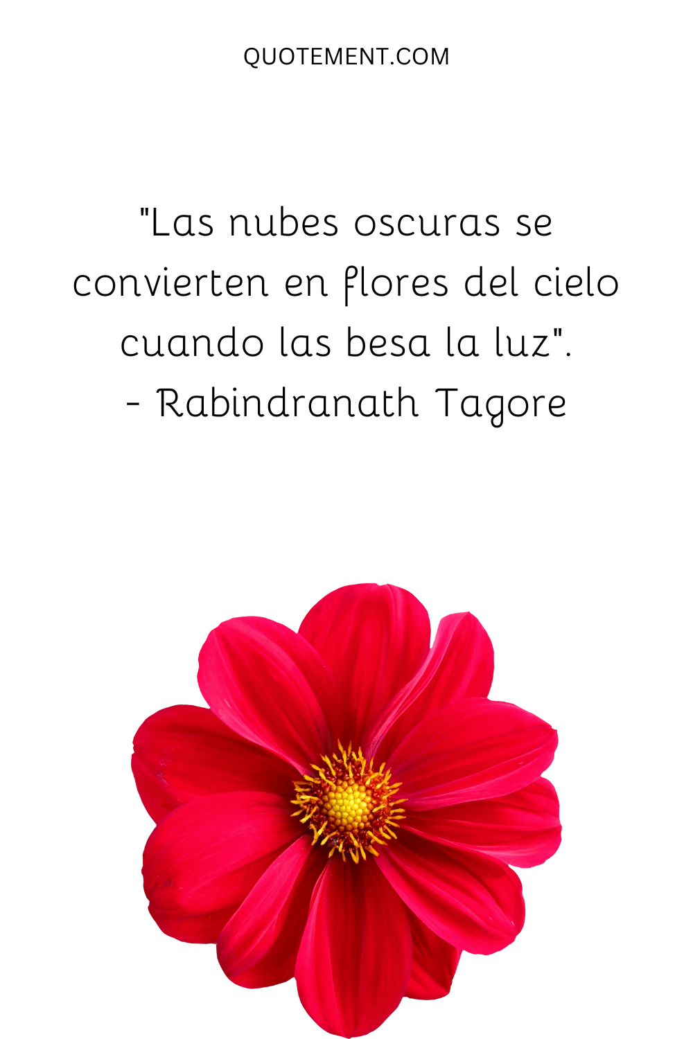 "Las nubes oscuras se convierten en flores del cielo cuando las besa la luz". - Rabindranath Tagore