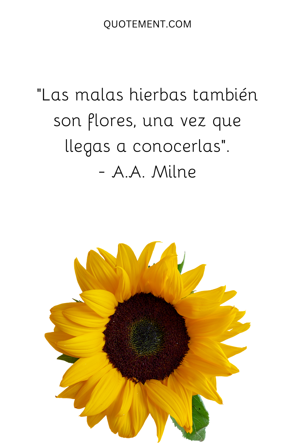 "Las malas hierbas también son flores, una vez que llegas a conocerlas". - A.A. Milne