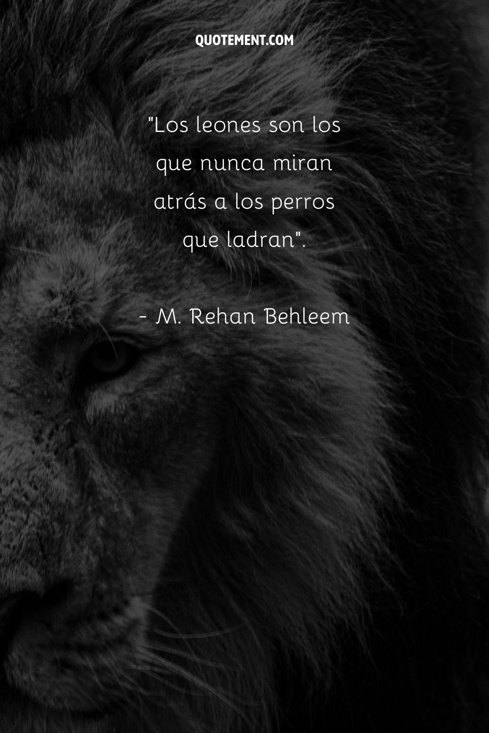 Los leones son los que nunca miran atrás a los perros que ladran