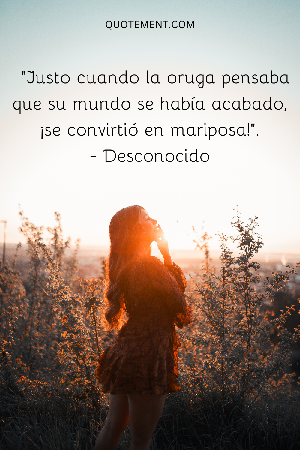 "Justo cuando la oruga pensaba que su mundo se había acabado, ¡se convirtió en mariposa!". - Desconocido