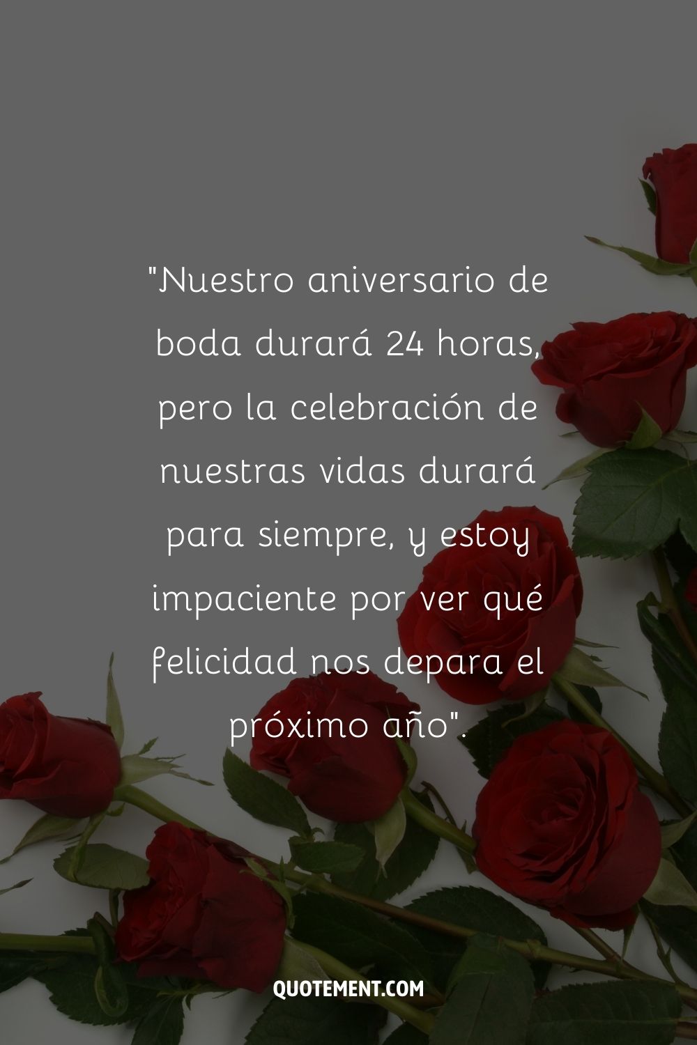 Rosas rojo oscuro con exuberantes hojas sobre un fondo gris suave