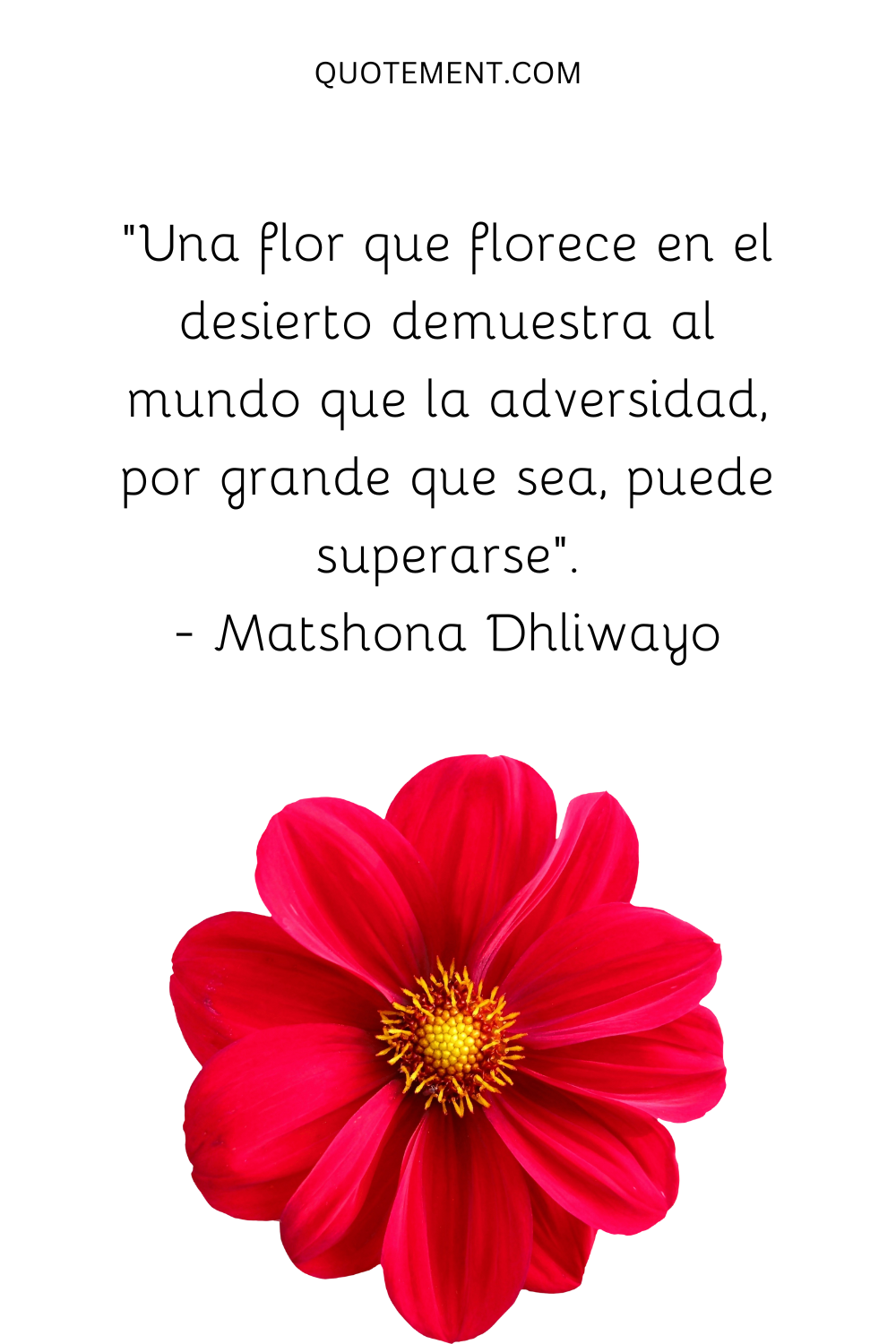 "Una flor que florece en el desierto demuestra al mundo que la adversidad, por grande que sea, puede superarse". - Matshona Dhliwayo
