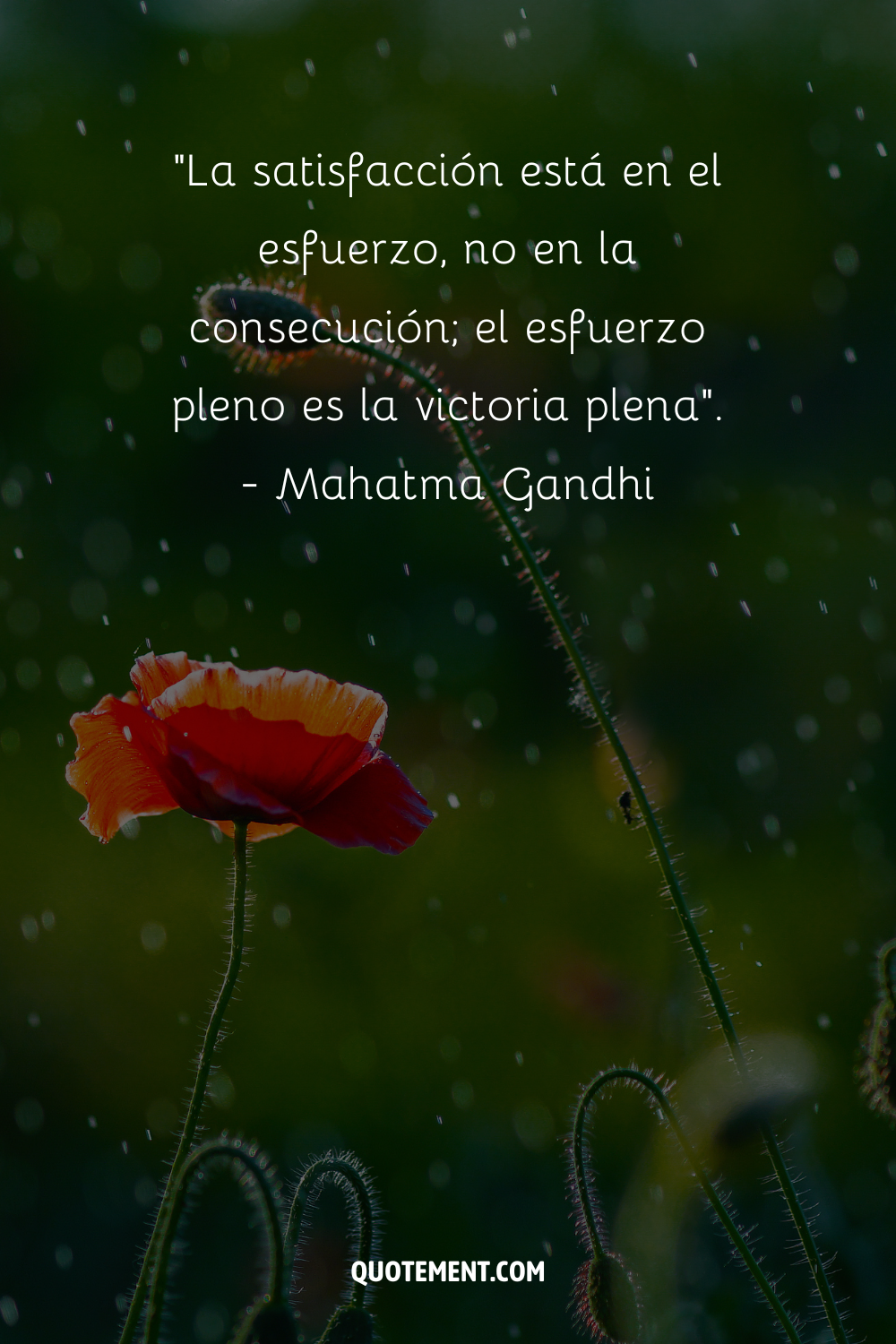"La satisfacción reside en el esfuerzo, no en el logro; el esfuerzo pleno es la victoria plena". - Mahatma Gandhi