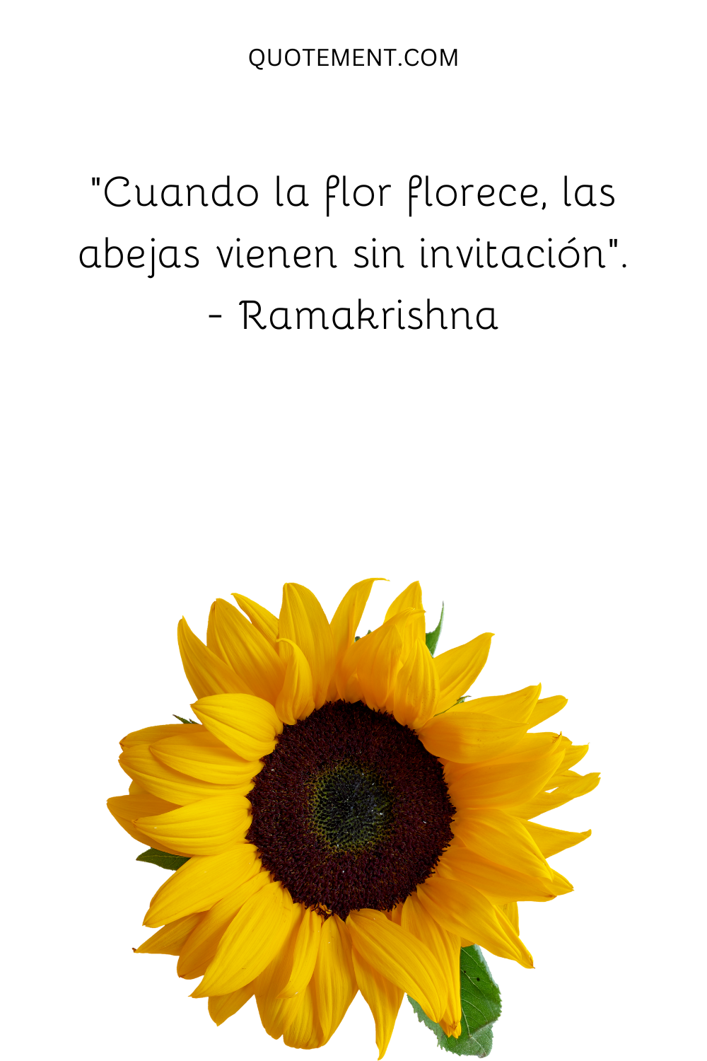 Cuando la flor florece, las abejas vienen sin invitación. - Ramakrishna