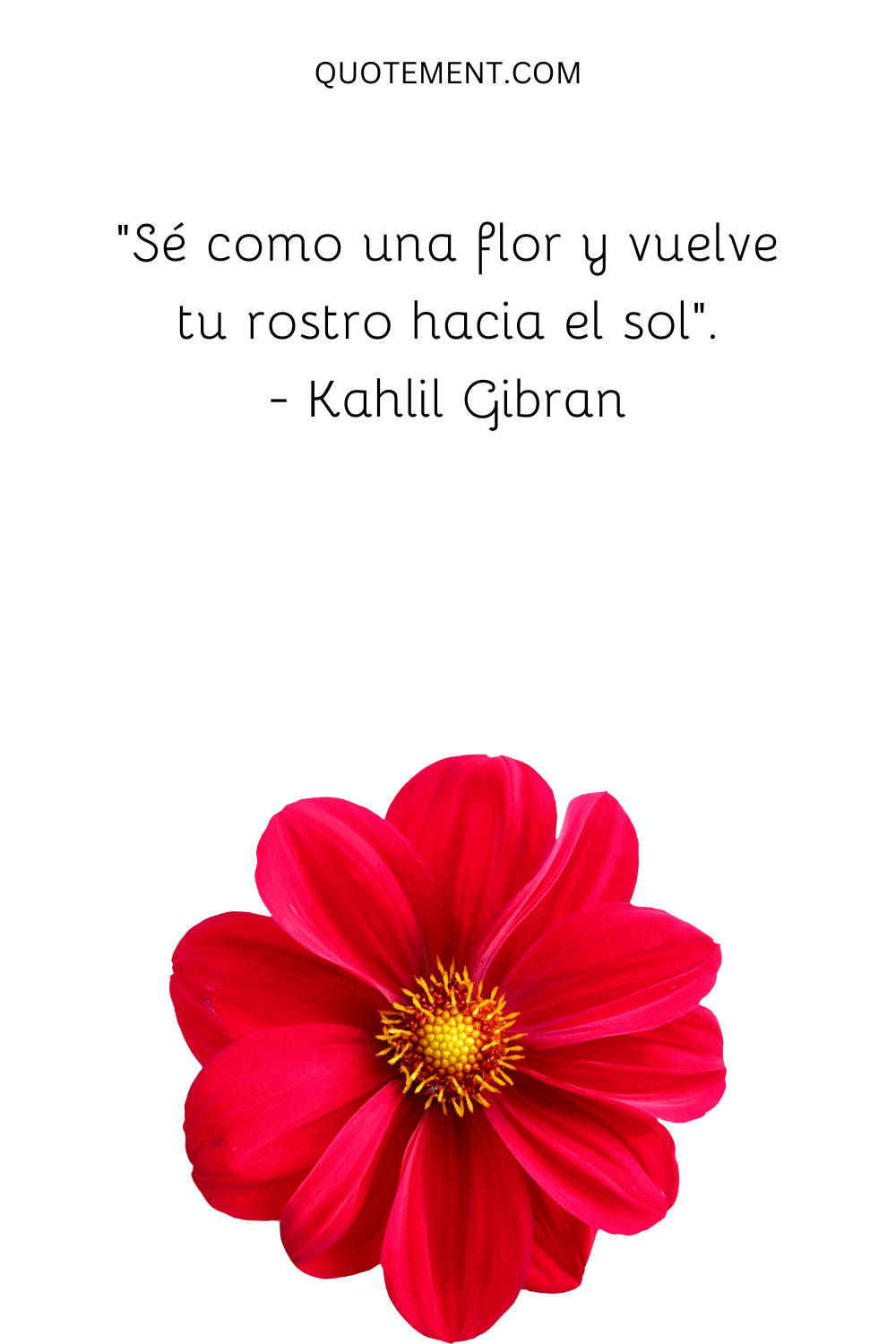 "Sé como una flor y vuelve tu rostro hacia el sol". - Kahlil Gibran