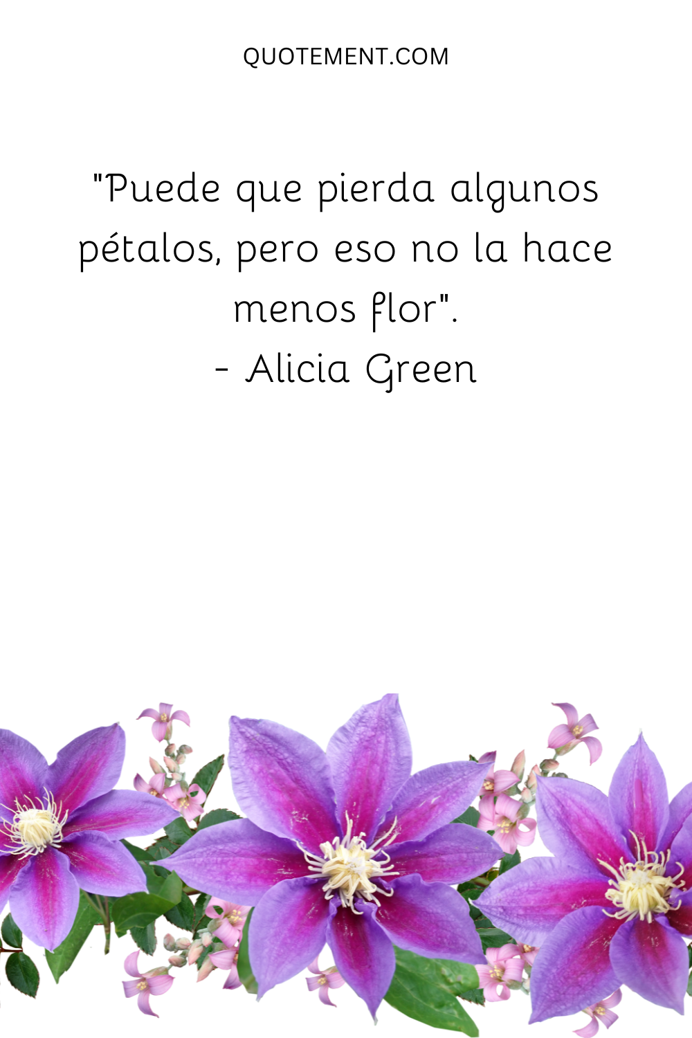 "Puede que pierda algunos pétalos, pero eso no la hace menos flor". - Alicia Green