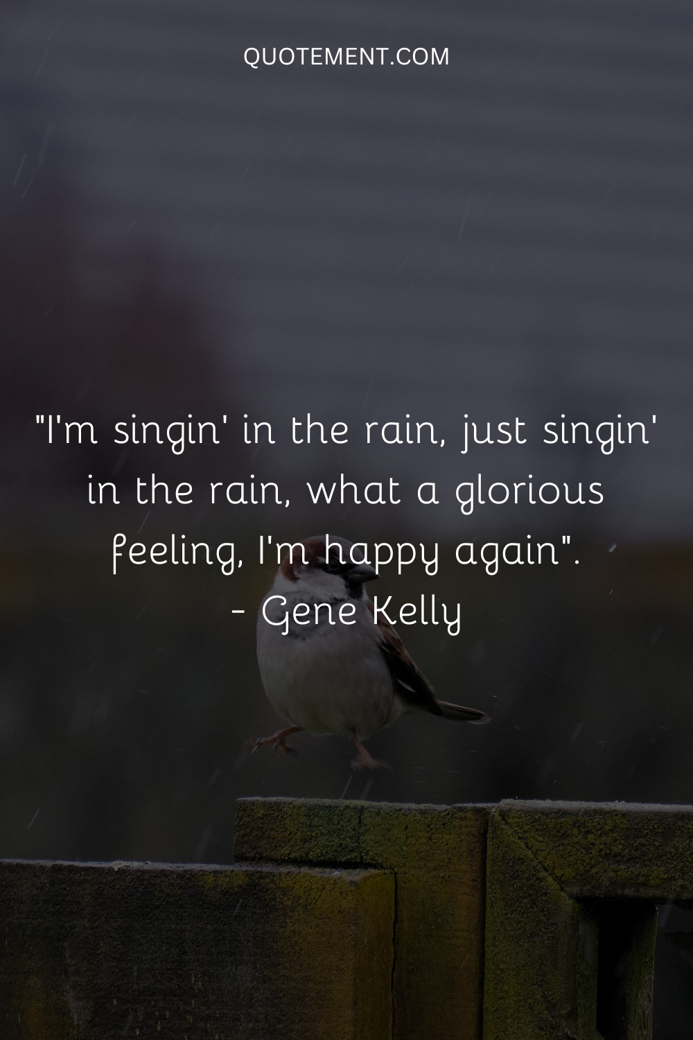 Estoy cantando bajo la lluvia, sólo cantando bajo la lluvia, qué sensación tan gloriosa, soy feliz de nuevo