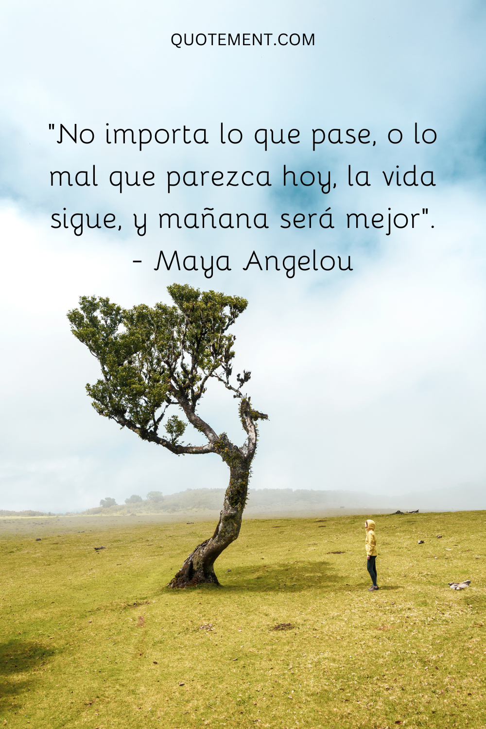 "No importa lo que pase, o lo mal que parezca hoy, la vida sigue, y mañana será mejor". - Maya Angelou