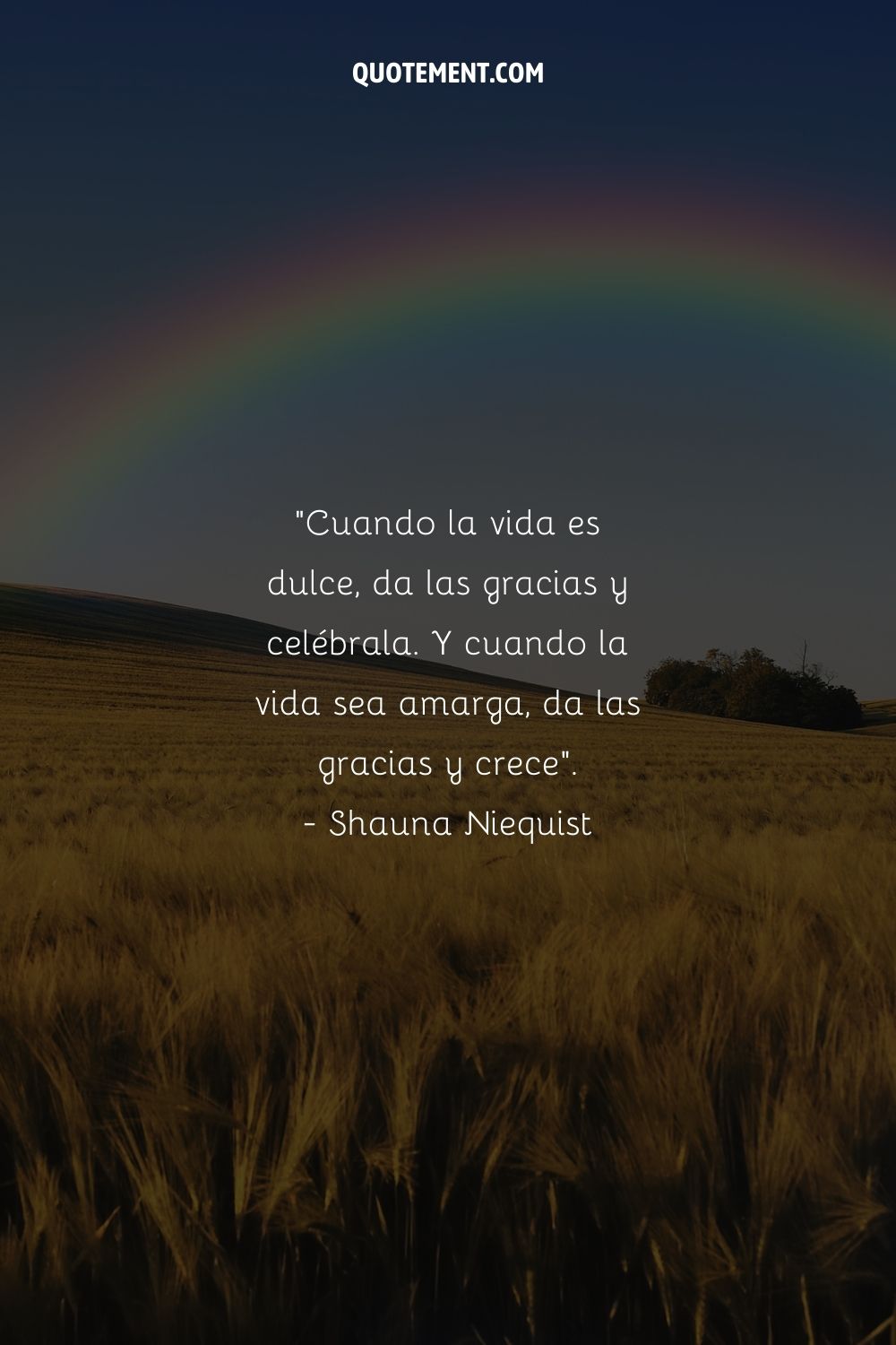 imagen de un arco iris sobre un campo de cereales que representa una bonita cita de la vida