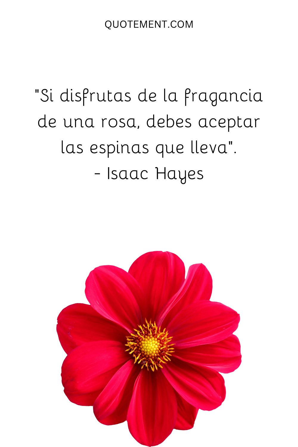 "Si disfrutas de la fragancia de una rosa, debes aceptar las espinas que lleva". - Isaac Hayes