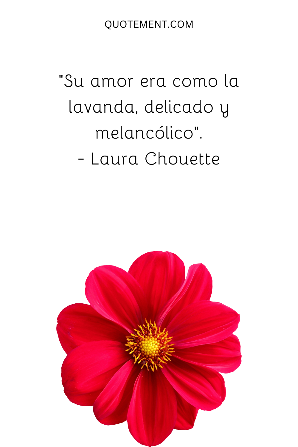 "Su amor era como la lavanda, delicado y melancólico". - Laura Chouette