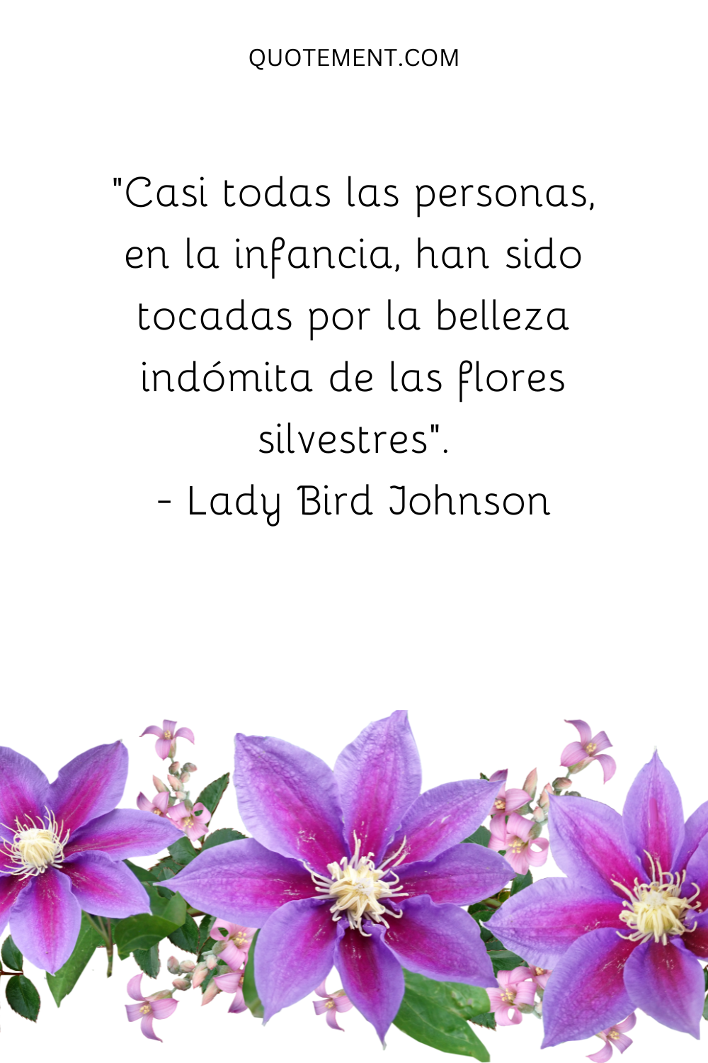 Casi todas las personas, en la infancia, se han sentido tocadas por la belleza indómita de las flores silvestres. - Lady Bird Johnson