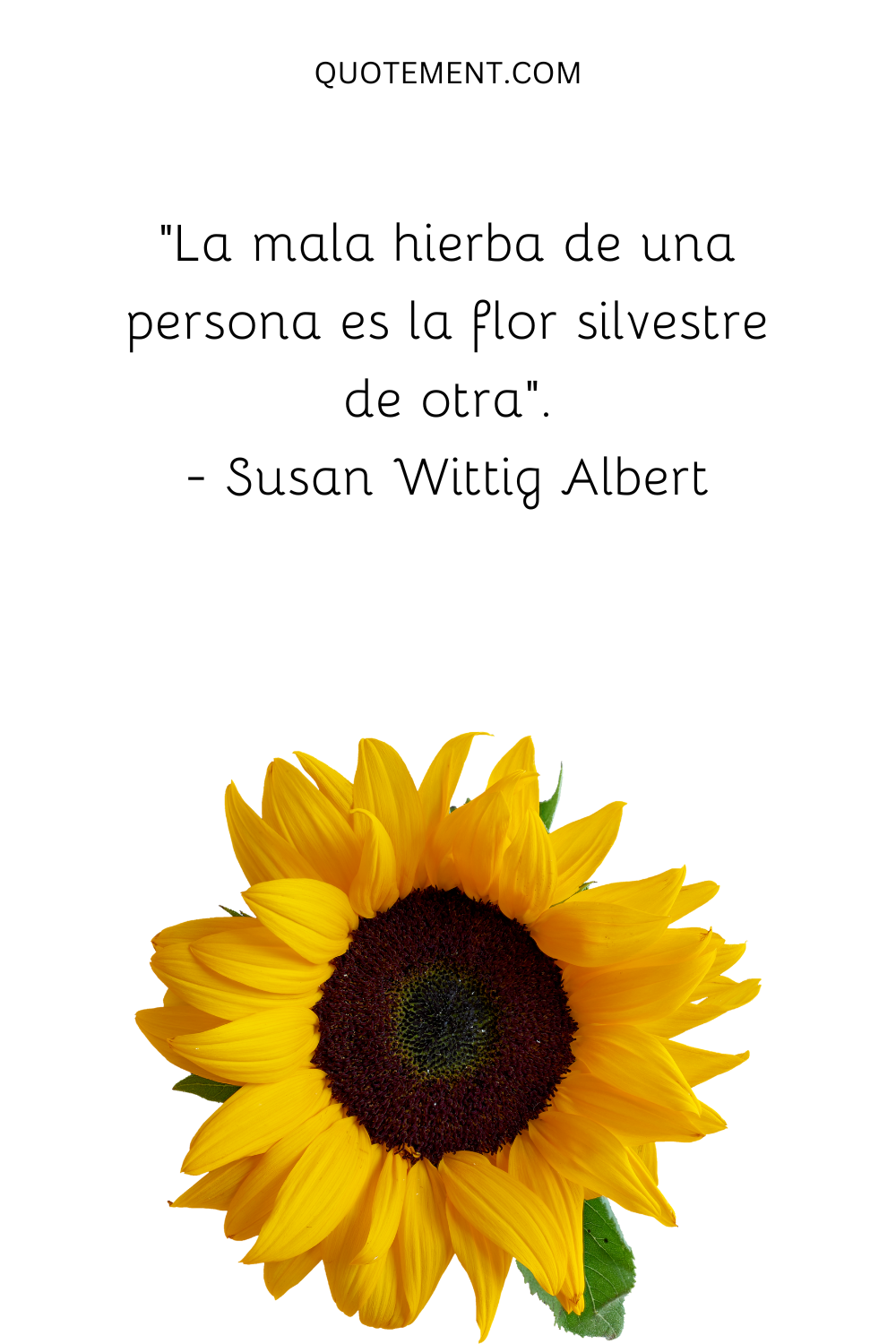 "La mala hierba de una persona es la flor silvestre de otra". - Susan Wittig Albert