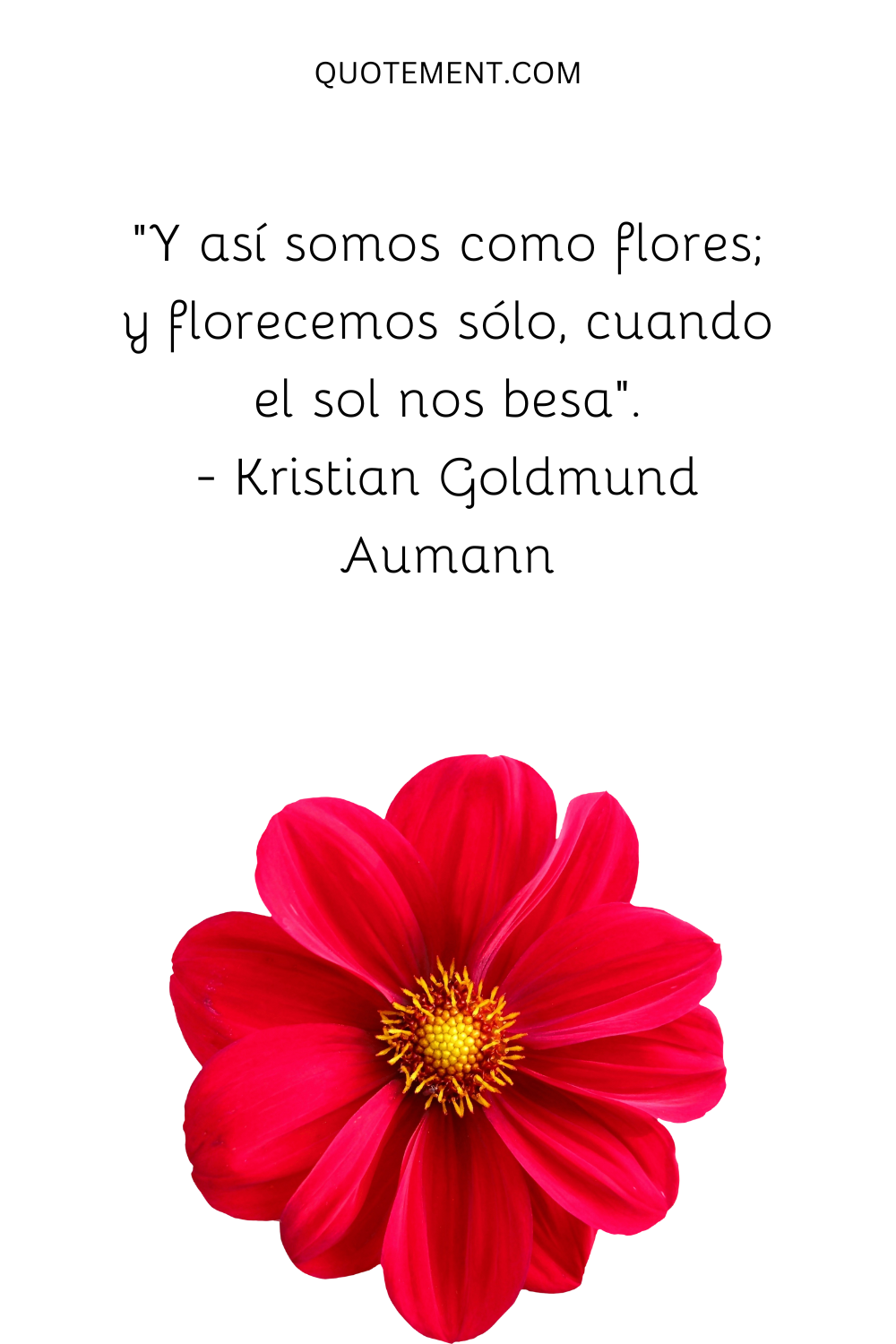 "Y así somos como flores; y florecemos sólo, cuando el sol nos besa". - Kristian Goldmund Aumann