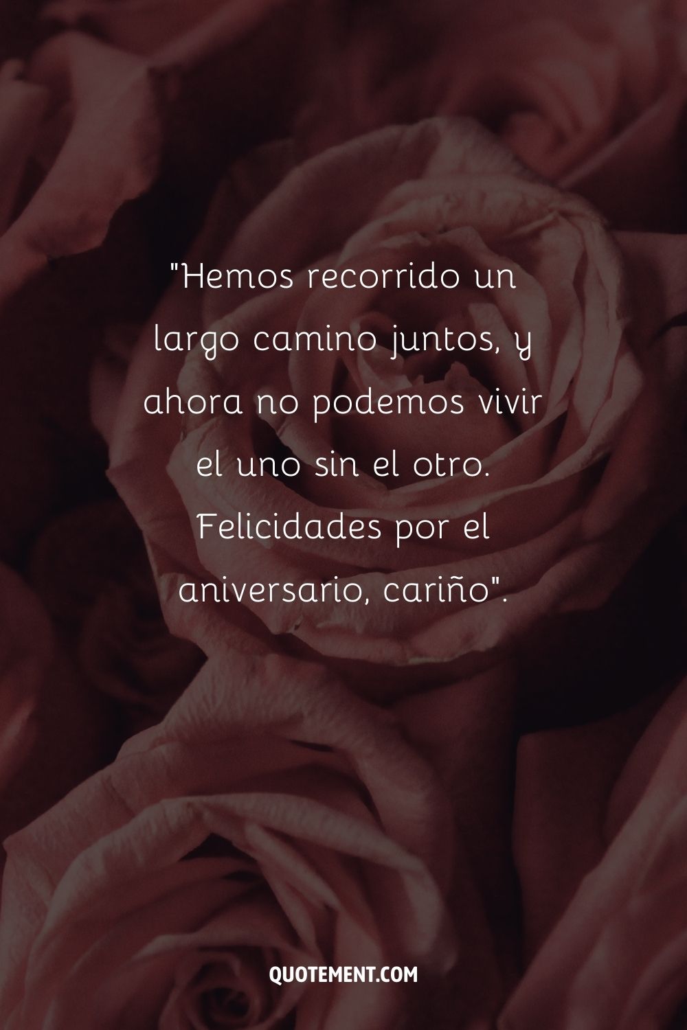 Una fotografía llena de profundidad de rosas rosadas aterciopeladas