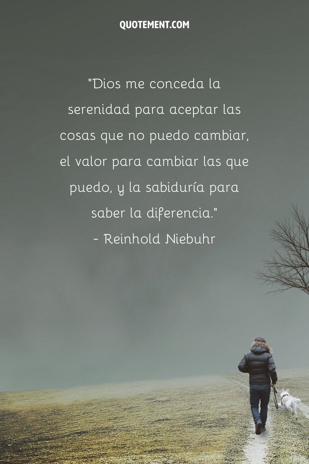 "Dios me conceda la serenidad para aceptar las cosas que no puedo cambiar, el valor para cambiar las que puedo, y la sabiduría para saber la diferencia". - Reinhold Niebuhr