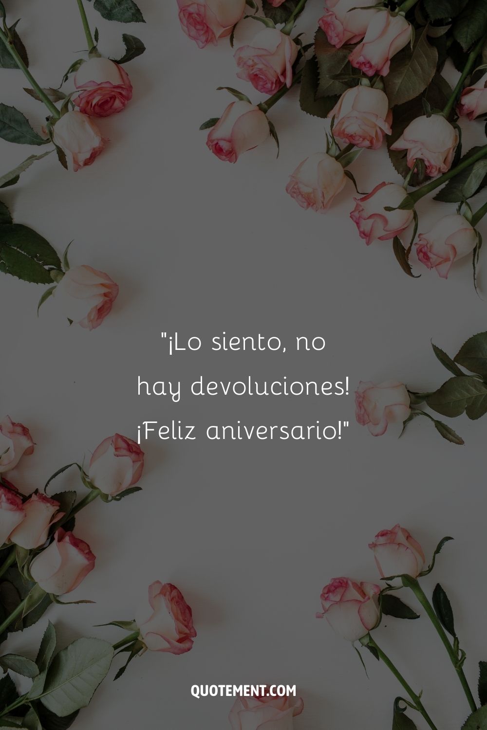 Una mirada natural y fresca a las rosas blancas con puntas rosadas, tumbadas despreocupadamente sobre un fondo liso.