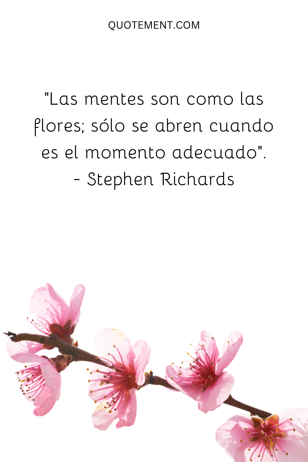 "Las mentes son como las flores; sólo se abren cuando llega el momento adecuado". - Stephen Richards